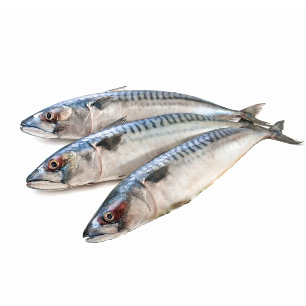 Durhams Frozen Mackerel