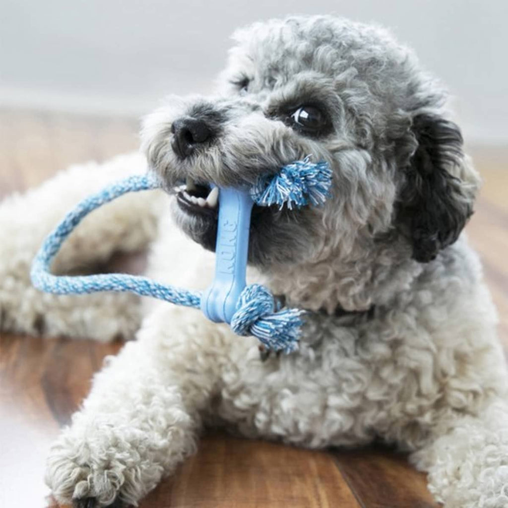 KONG Puppy Goodie Bone On Rope Extra Small