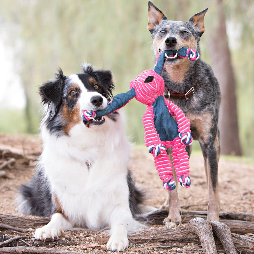 Kong Floppy Knots Hippo - Med/Lrg