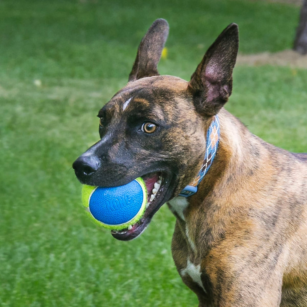 Kong SqueakAir Ultra Balls 2-pk