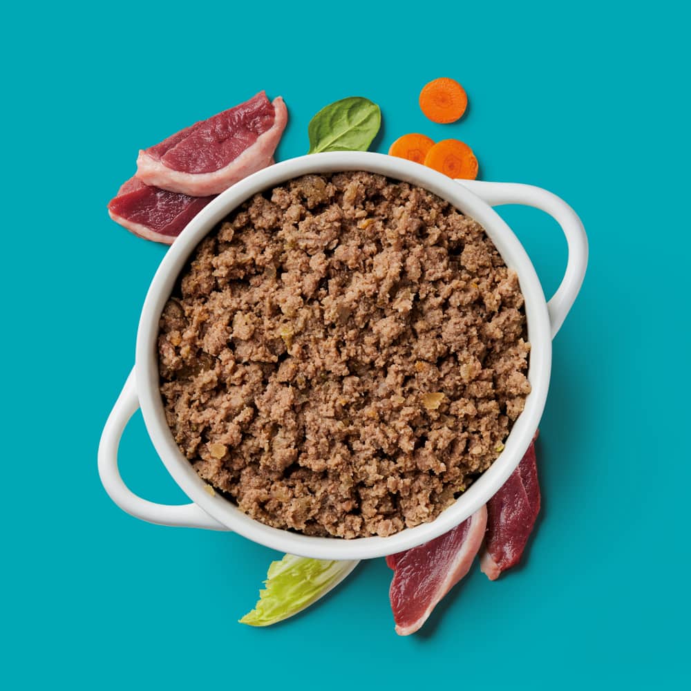 Nutriment Gently Steamed Recipe - Duck for Dogs 395g