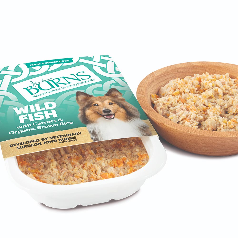 Burns Wet Food Wild Fish with Carrots & Organic Brown Rice