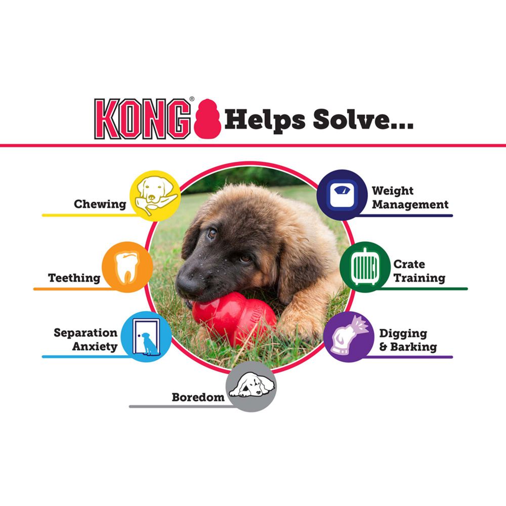 KONG® Puppy Large