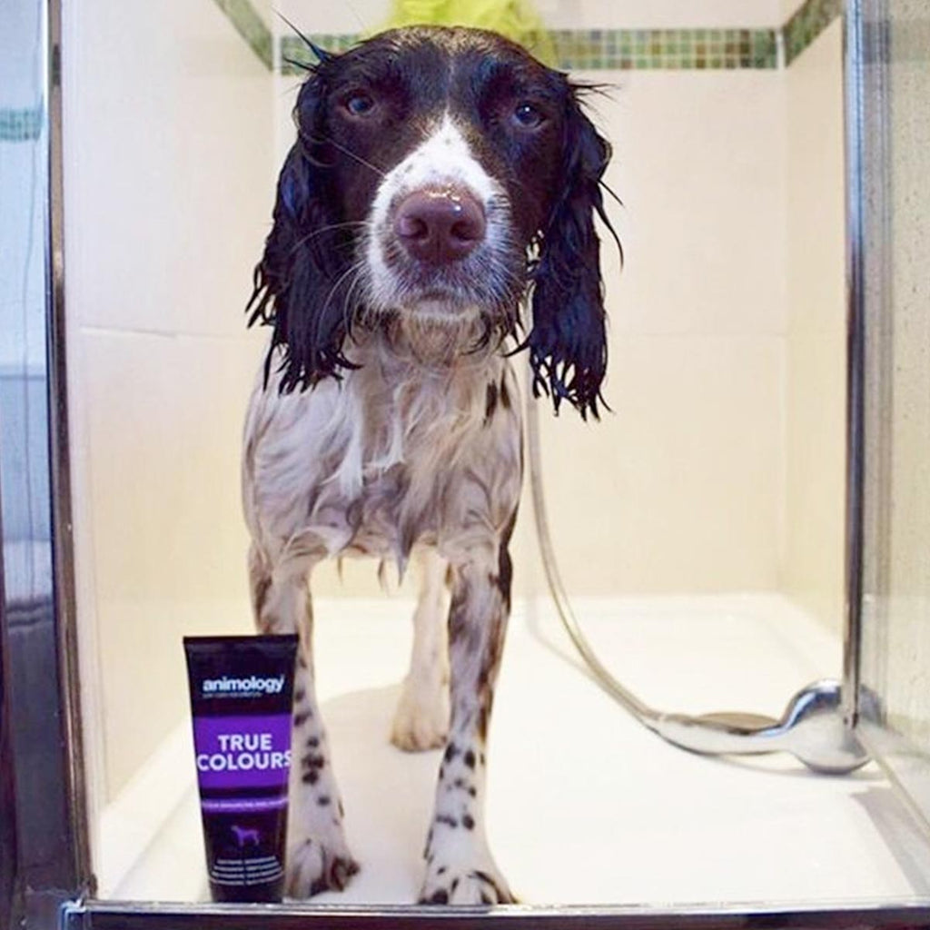 Animology True Colours Shampoo