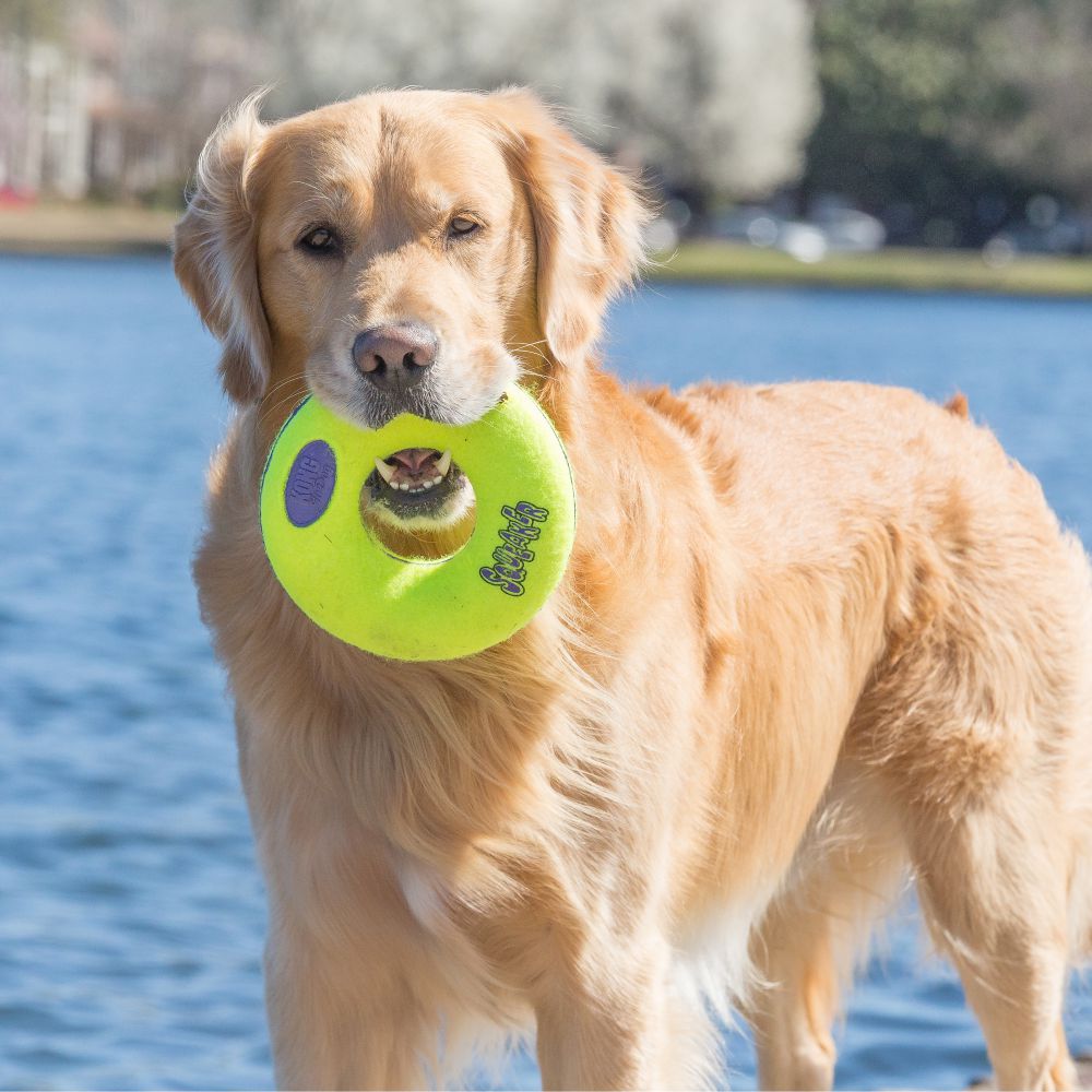 Kong Airdog® Squeaker Donut Medium