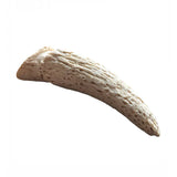 Anco Cow Horn Marrow