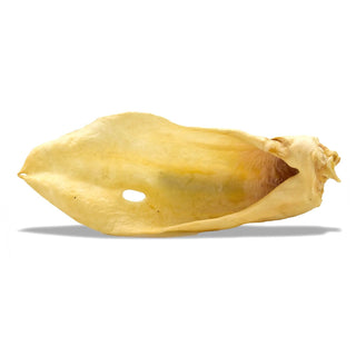 Anco Naturals Goat Ear