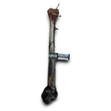 Anco Naturals Ostrich Caveman Bone