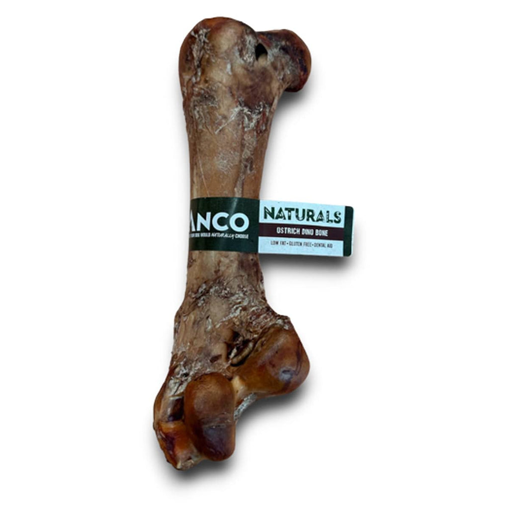 Anco Ostrich Dino Bone