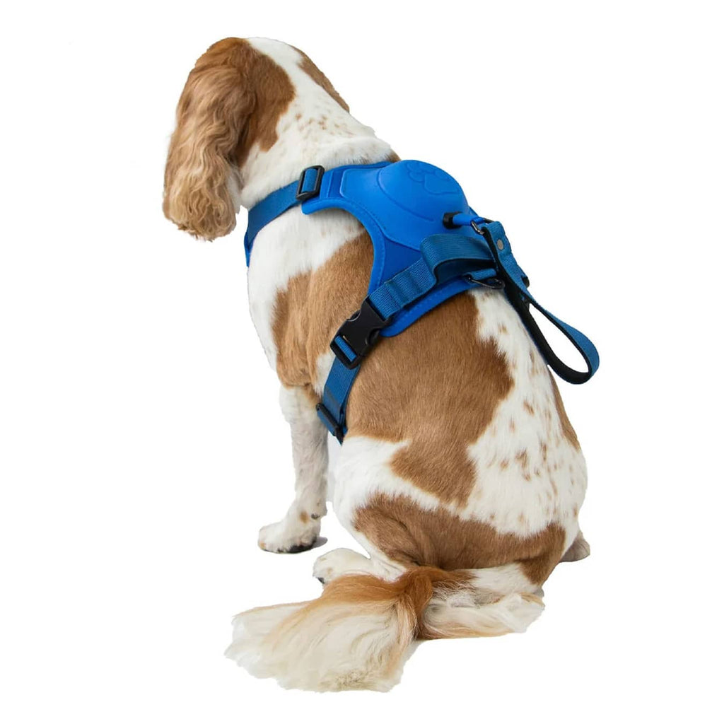 Ancol Extreme Hybrid Dog Harness Blue XL