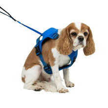 Load image into Gallery viewer, Ancol Extreme Hybrid Dog Harness Blue XL