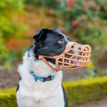 Load image into Gallery viewer, Baskerville Classic Basket Dog Muzzle | Size 4