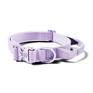BullyBillows 2.5cm Lighter Combat® Collar | With Handle & Secure Clip - Lavender X Ube