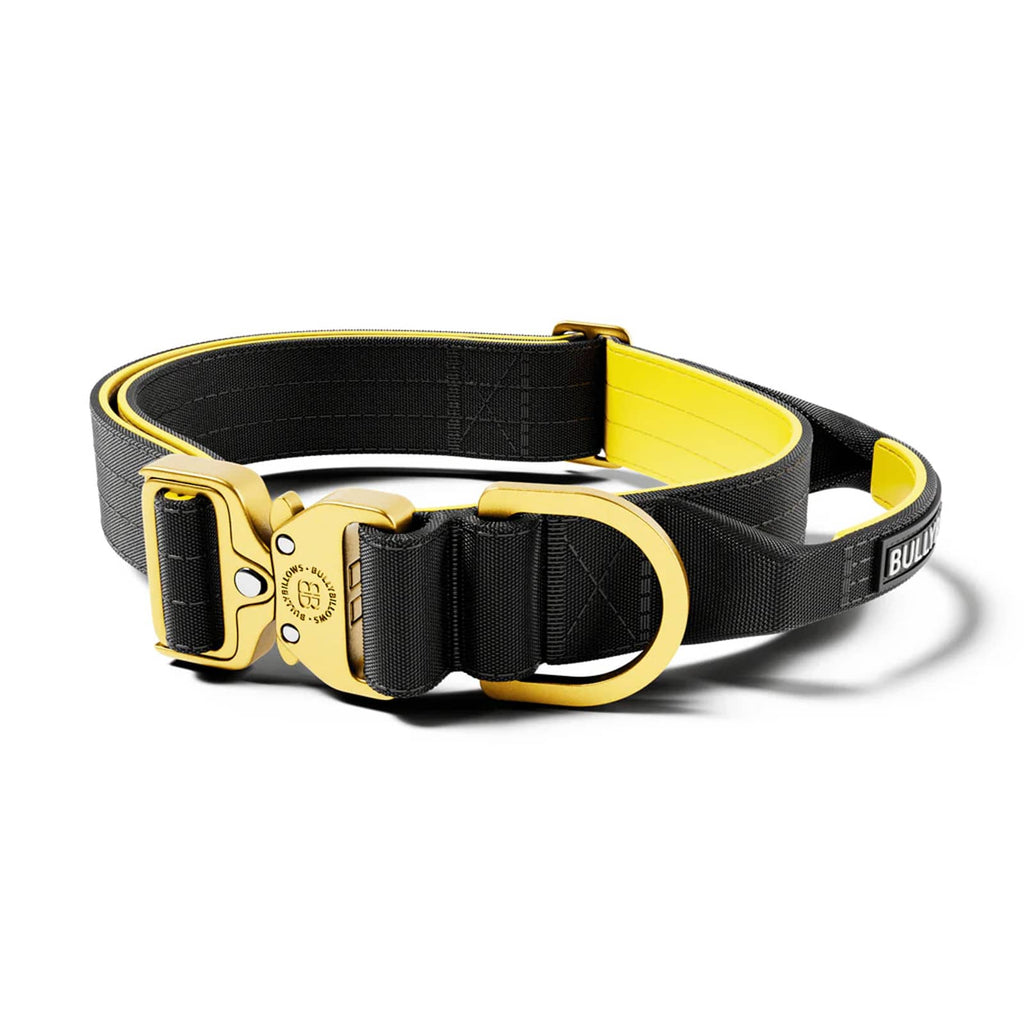 BullyBillows 4cm LIGHTER Combat® Collar - Black, Yellow & Gold