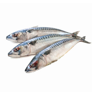 Durhams Frozen Mackerel
