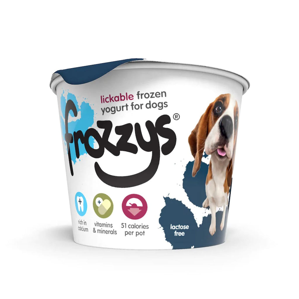 Frozzys Frozen Yogurt - Blueberry 85g