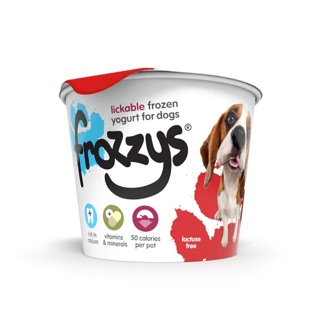 Frozzys Frozen Yogurt - Strawberry 85g