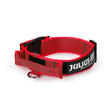 Julius-K9 Color & Gray® All Weather Dog Collar-With Handle-Large Dogs