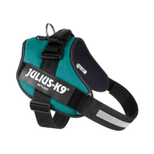 Load image into Gallery viewer, Julius-K9 IDC Powerharness Petrol Green 3/2XL