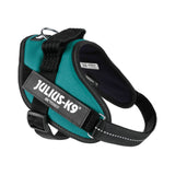 Julius-K9 IDC Powerharness Petrol Green S/Mini