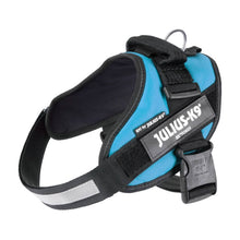Load image into Gallery viewer, Julius-K9 IDC® Powerharness Aquamarine Size Baby 1