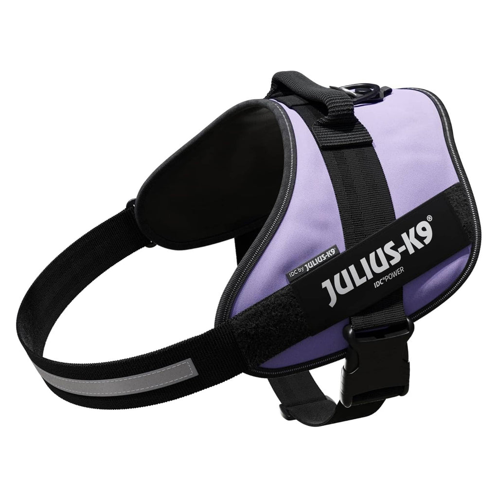 Julius-k9 Harness Purple Size 2xl / 3