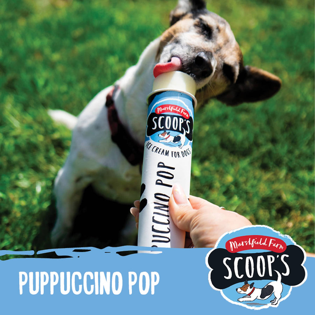 Marshfield Dog Puppuccino Pop Ice Cream