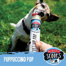 Load image into Gallery viewer, Marshfield Dog Puppuccino Pop Ice Cream