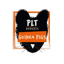Load image into Gallery viewer, PLT Frozen Guinea Pigs 200g