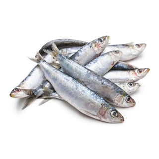 Premium Raw Whole Sardines 1kg