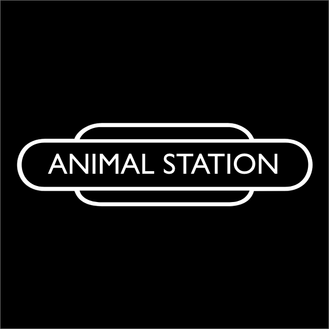 Giant bully muscle stick – Animal Station Ltd