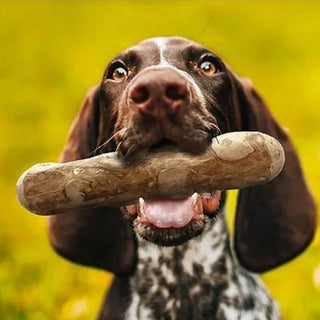 goodWood Chewable Wood Stick For Dogs Medium