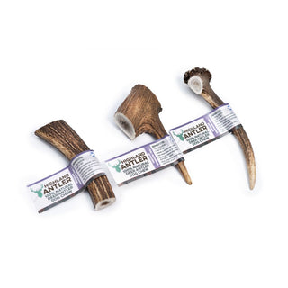 Antos Highland Antler Medium