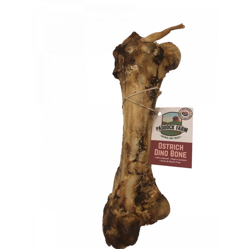 Paddock Farm Ostrich Dino Bone