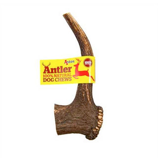 Antos Medium Antler