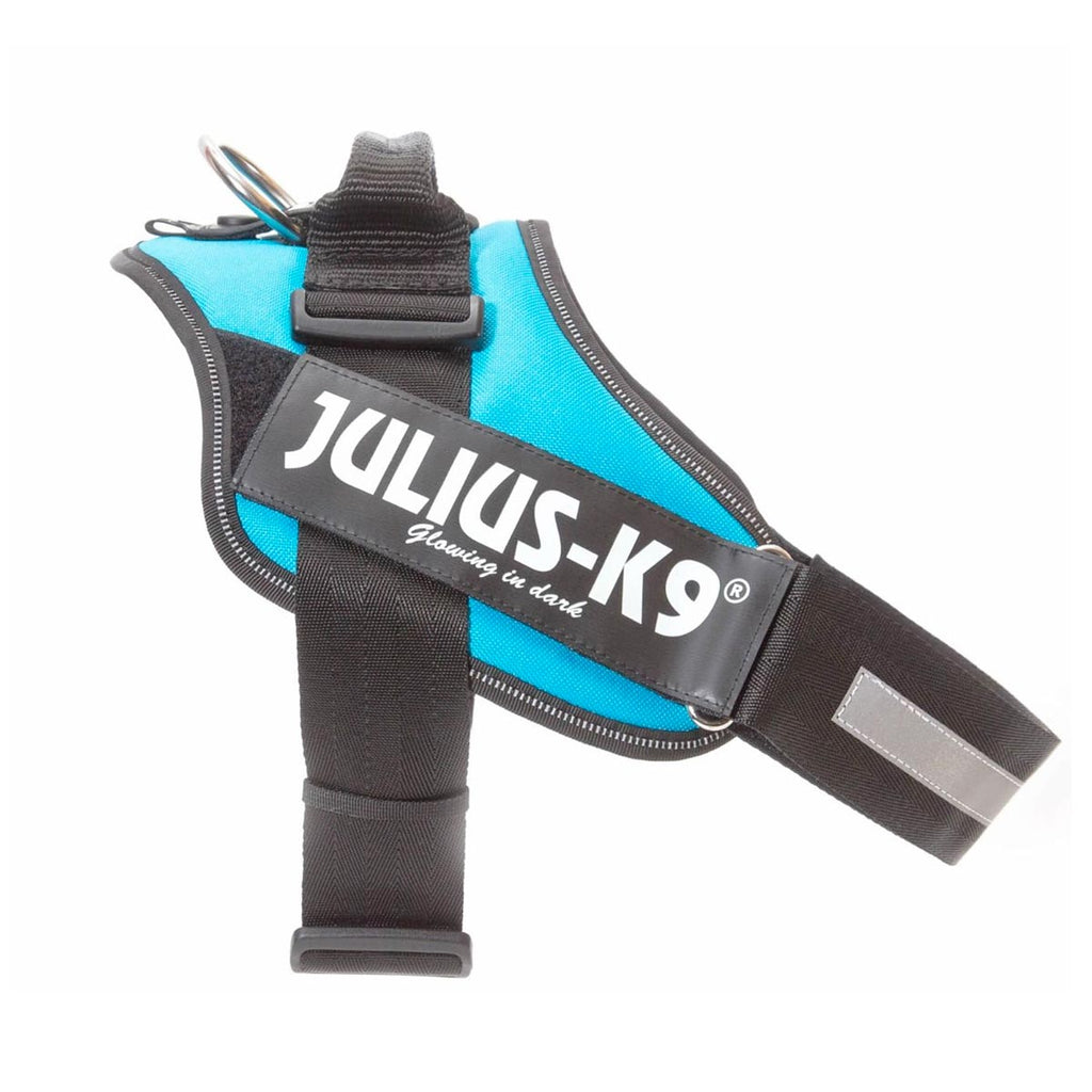 JULIUS-K9 IDC® Power Harness - Aquamarine Size 3