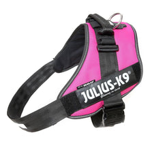 Load image into Gallery viewer, JULIUS-K9 IDC® Power Harness - Dark Pink Size 4