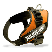 Load image into Gallery viewer, JULIUS-K9 IDC® Power Harness - Orange Size 3