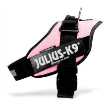 Load image into Gallery viewer, JULIUS-K9 IDC® Power Harness - Pink Size 4