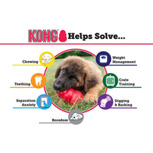 Load image into Gallery viewer, KONG® Puppy Large