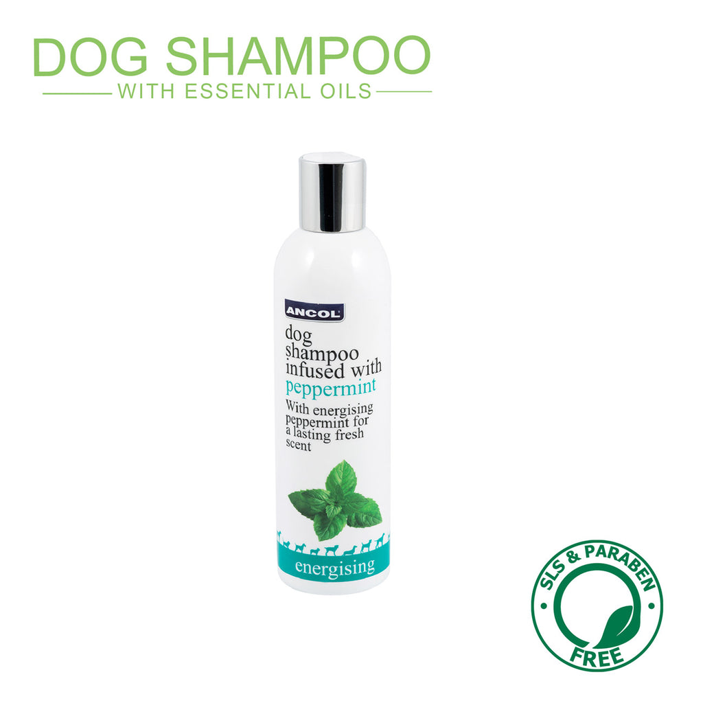 Ancol Luxury Dog Shampoo Peppermint 250ml