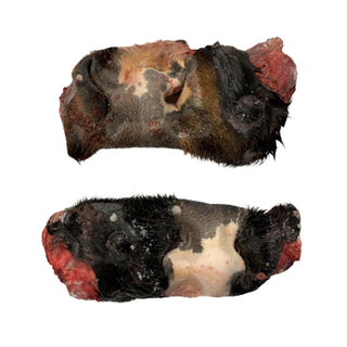 Premium Raw Beef Snouts 2pcs