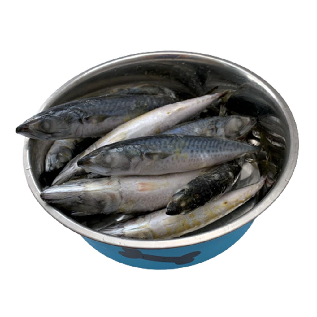 Premium Raw Whole Mackerel 1kg