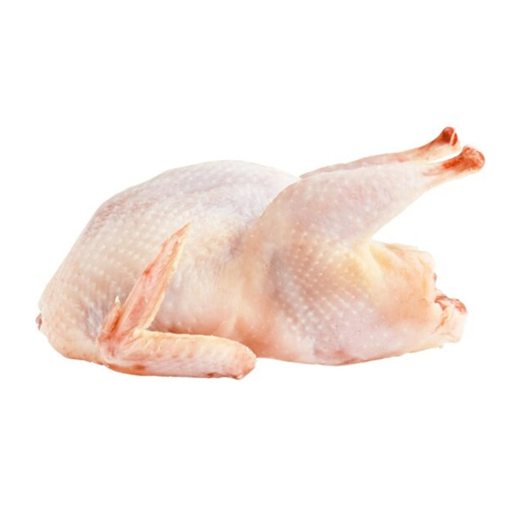 Premium Raw Whole Quail 2pcs