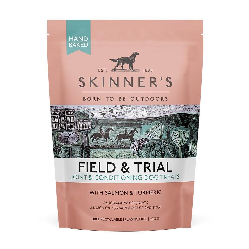 Skinner's Field & Trial Joint & Condition Treats Salmon with Turmeric
