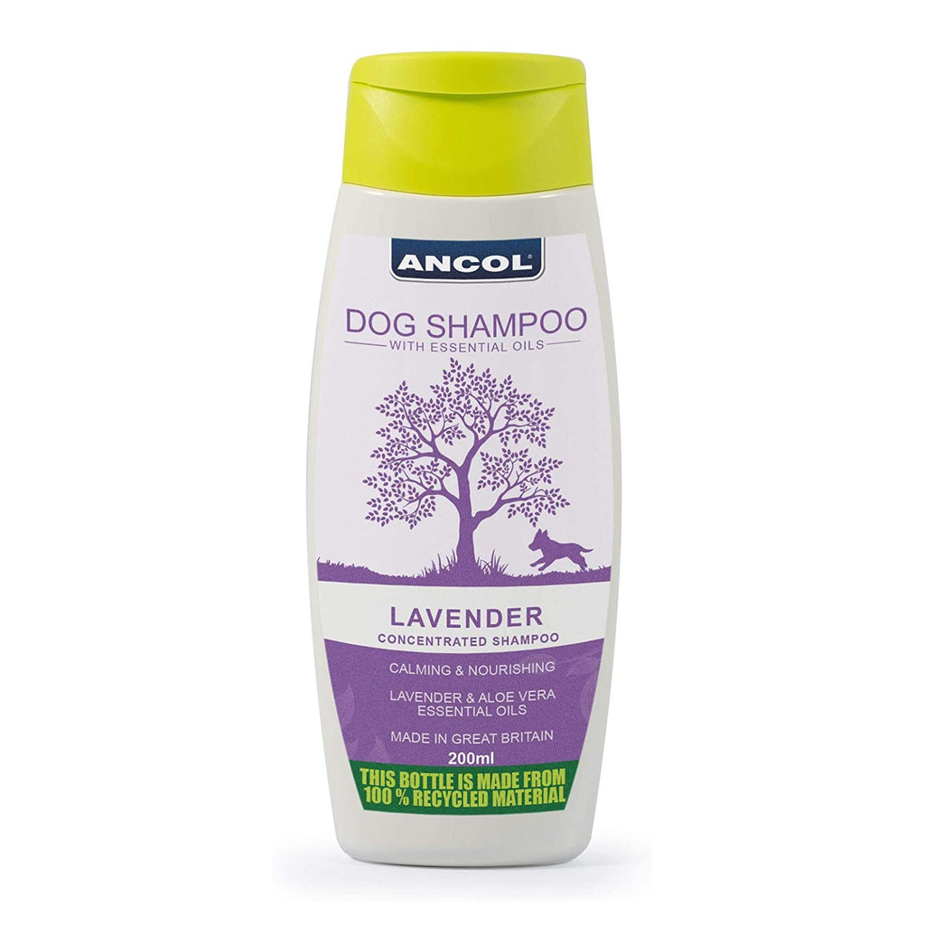 Ancol Lavender shampoo