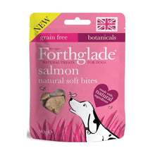 Load image into Gallery viewer, Forthglade Salmon Natural Soft Bites