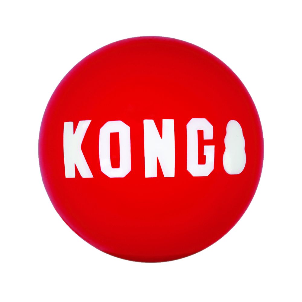 Kong Signature Ball - Small